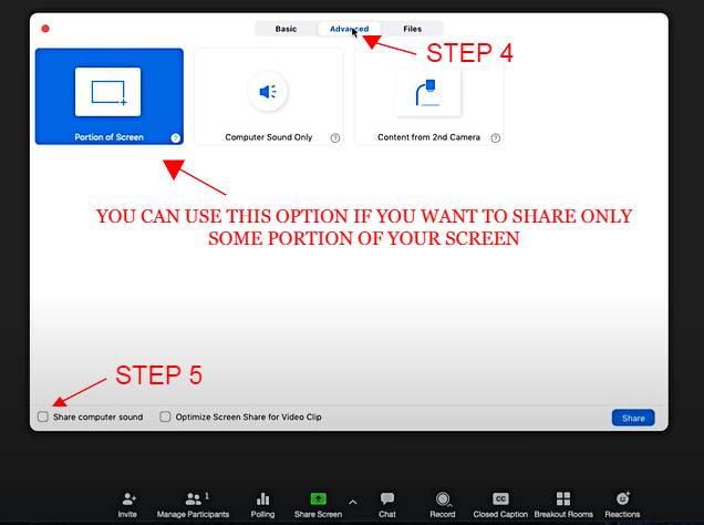 ZOOM ADVANCE AUDIO SETTINGS