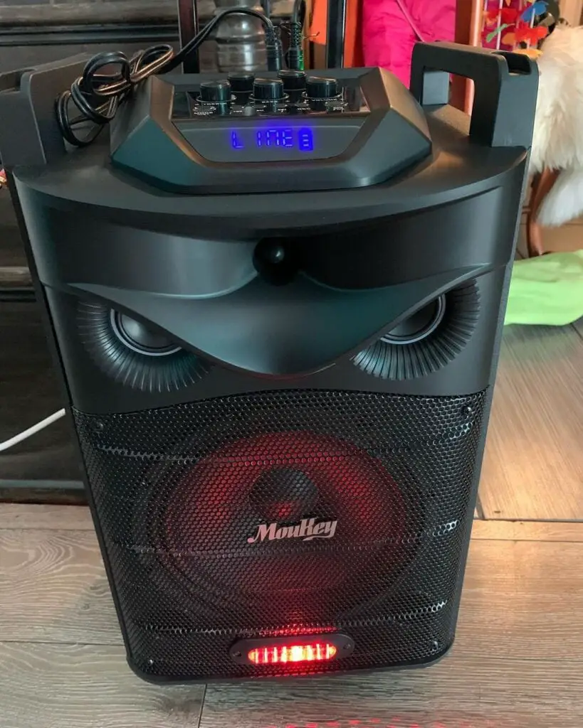 6 Best Professional Karaoke Machines Reviews in 2023 (Updated)