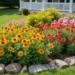 Best Perennials for Front Yard Curb Appeal That Come Back Every Year