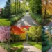 Curb Appeal Landscaping Ideas That Work in Every Climate and Budget