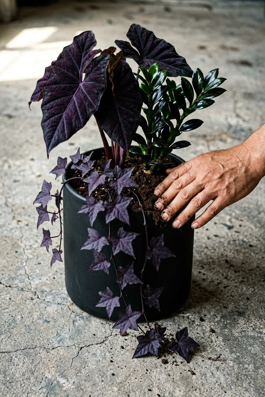 The Moody Dark Foliage Column