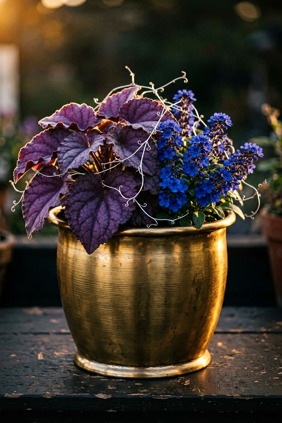 The Twilight Jewel Box Combination