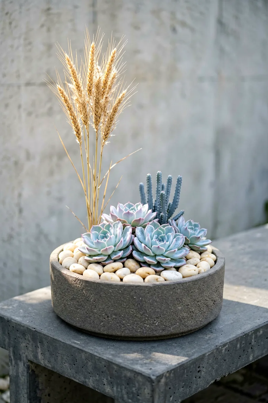 The Soft Desert Grass Minimalist