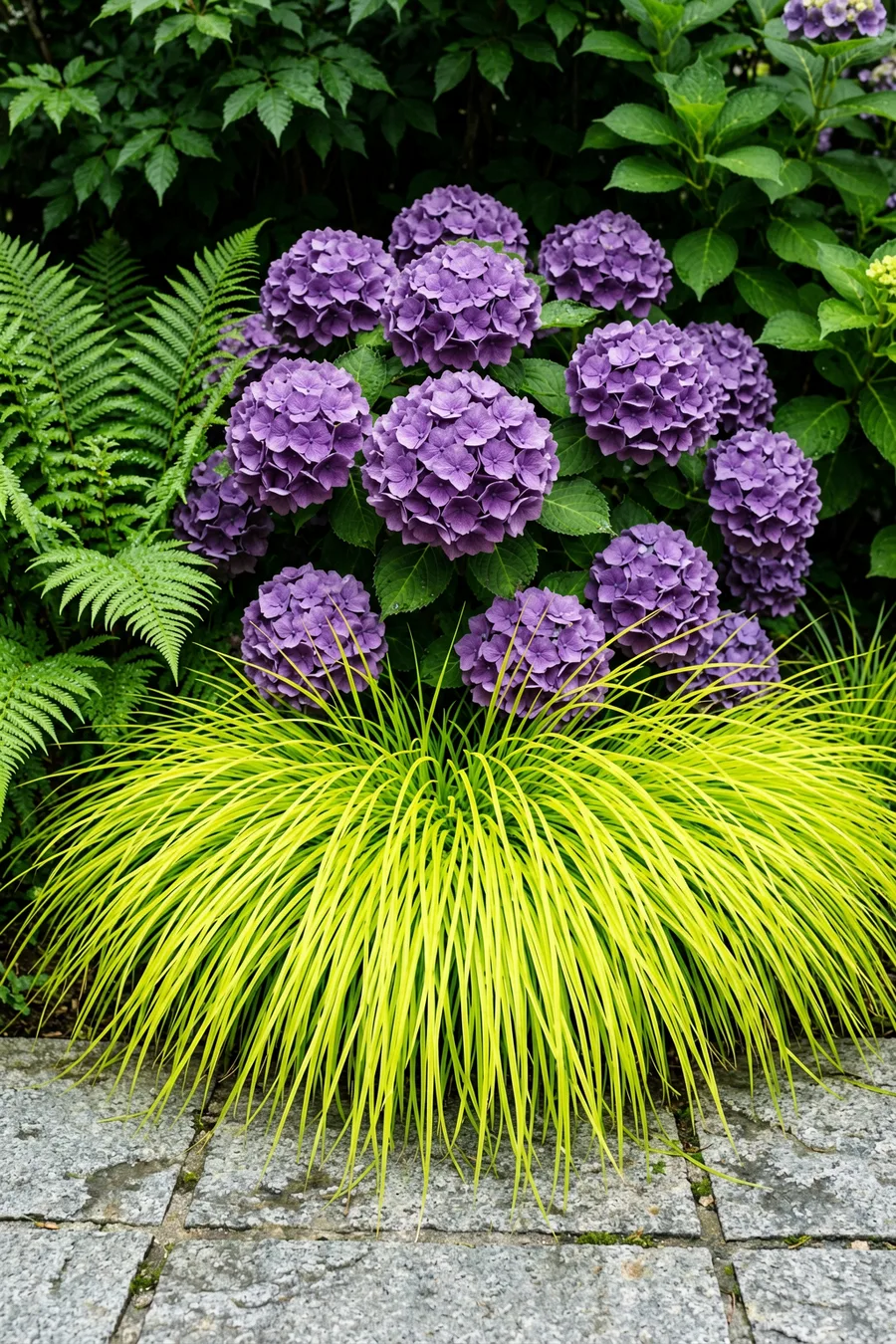 Create a Multi-Textured Perennial Border