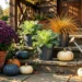 Fall Container Garden Ideas: What to Plant in Outdoor Pots After Summer