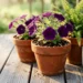 How to Choose the Right Potting Mix for Outdoor Container Pots
