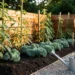 14 Cheap Backyard Fence Ideas That Look Surprisingly Polished