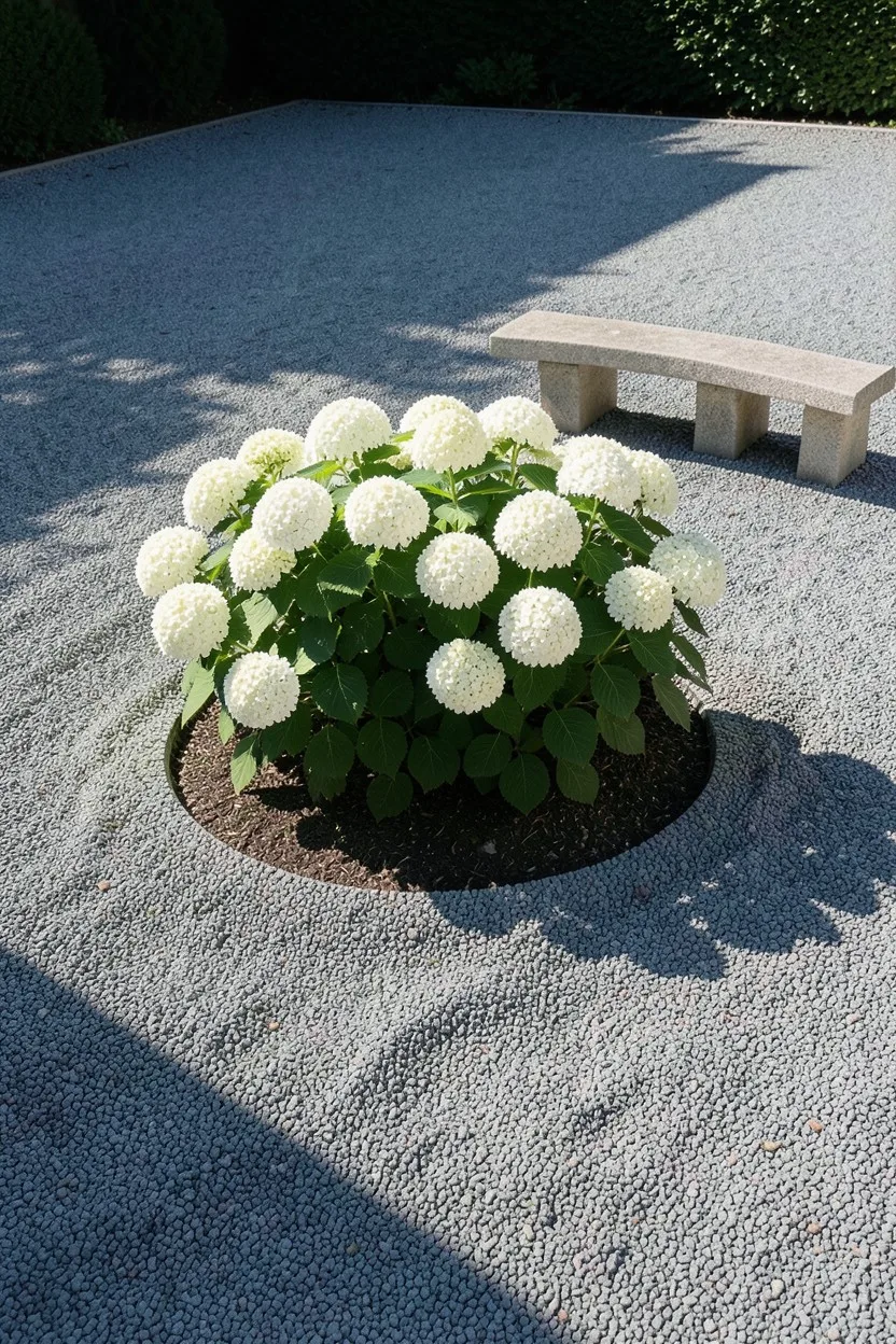Gravel Courtyard Anchors for a Clean Mediterranean Feel